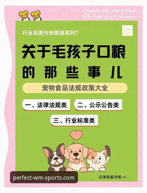 完美体育官方正版使用指南 深度揭秘:完美体育官方正版使用指南背后的行业标准
